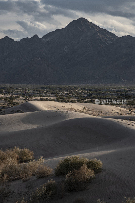 Fx全画幅沙漠垂直景观，下墨西哥，美国/墨西哥边境。